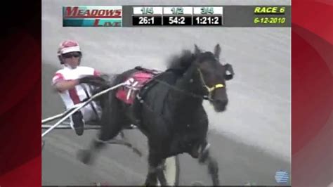 usta harness results